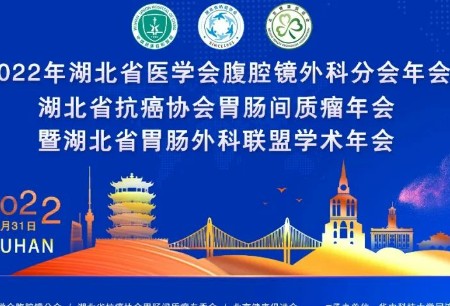 学术之声 | 微创®图迈®亮相2022湖北省医学会腹腔镜外科分会年会，试驾体验广受赞誉